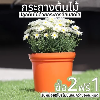 กระถางต้นไม้พลาสติก กระถางมินิมอล กระถางโมเดิร์นระบายน้ำได้ดีป้องกันรากเน่า พลาสติกแข็งแรงงานญี่ปุ่น