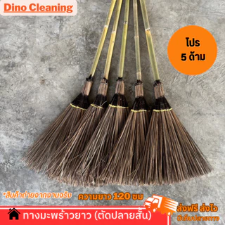 สุดคุ้ม‼️5 แถม 5 ไม้กวาดดอกหญ้า 5 ด้าม +ไม้กวาดทางมะพร้าวสั้นตัดปลาย 5 ด้าม แข็งเเรง ทนทาน สินค้าพร้อมส่ง