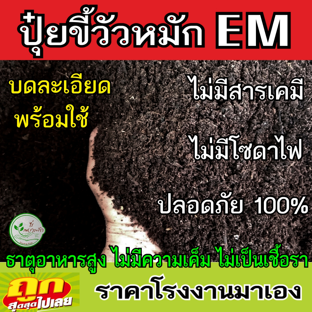 ขี้วัว หมักEM ผสมไตรโครเดอร์ม่าป้องกันโรคพืช โลละ 11 บาทขี้วัวนม บดละเอียด ปุ๋ยคอก​​ ขี้วัว มูลวัว​ ปุ๋ยอินทรีย์ ปุ๋ย