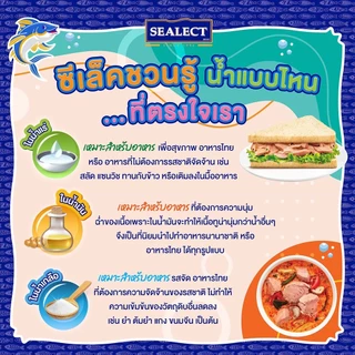 ซีเล็คโกลด์ เนื้อปลาแมคเคอเรลในซอสมะเขือเทศ 90 ก.แพ็ก 12