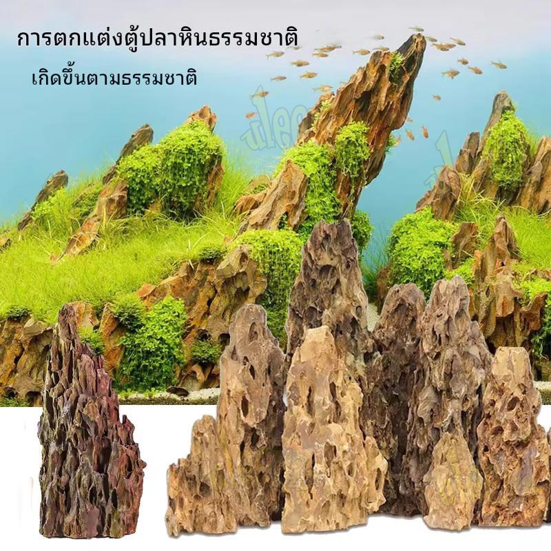 ถูก หินดราก้อน Dragon Stones ดรากอน หินตกแต่งตู้ไม้น้ำ หินตกแต่งตู้ปลา หินจัดสวน ตู้ปลา ตู้ไม้น้ำ