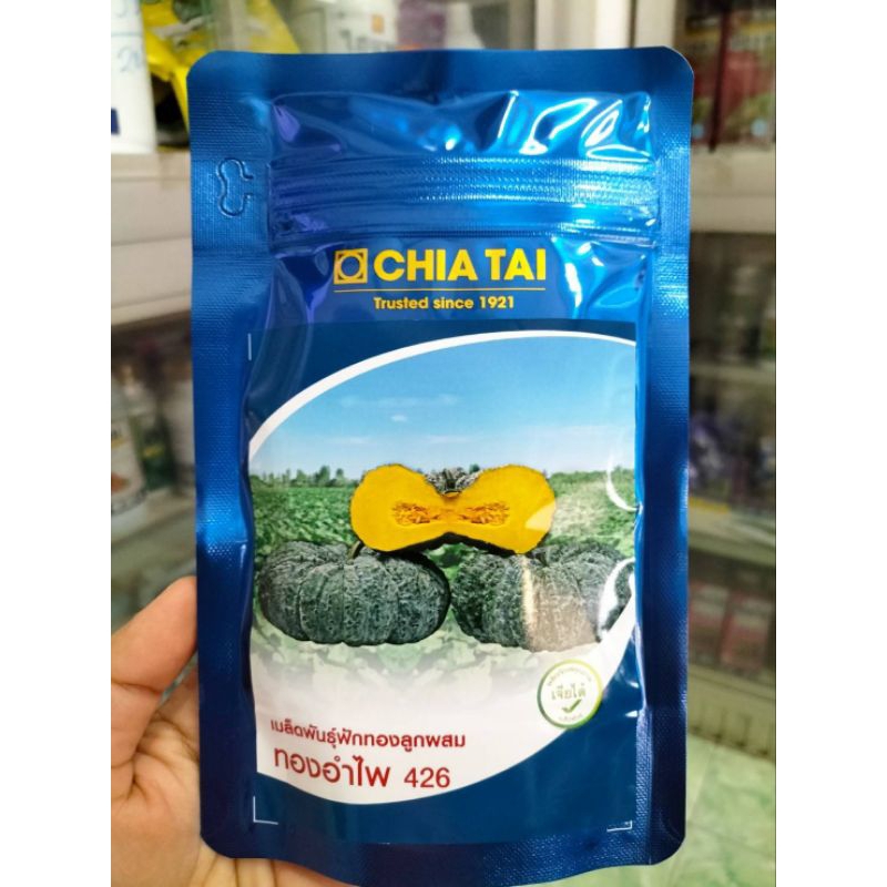 ฟักทอง ทองอำไพ426ขนาด100กรัม