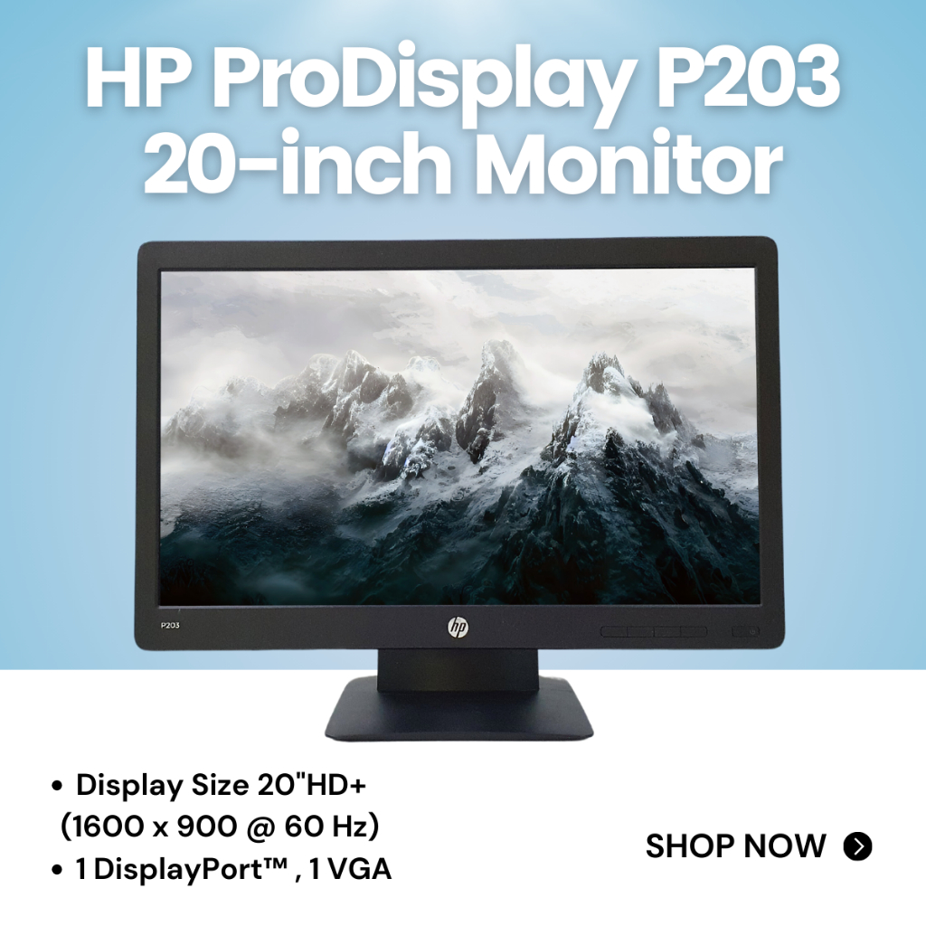 จอคอมพิวเตอร์ HP ProDisplay P203 20-inch Monitor