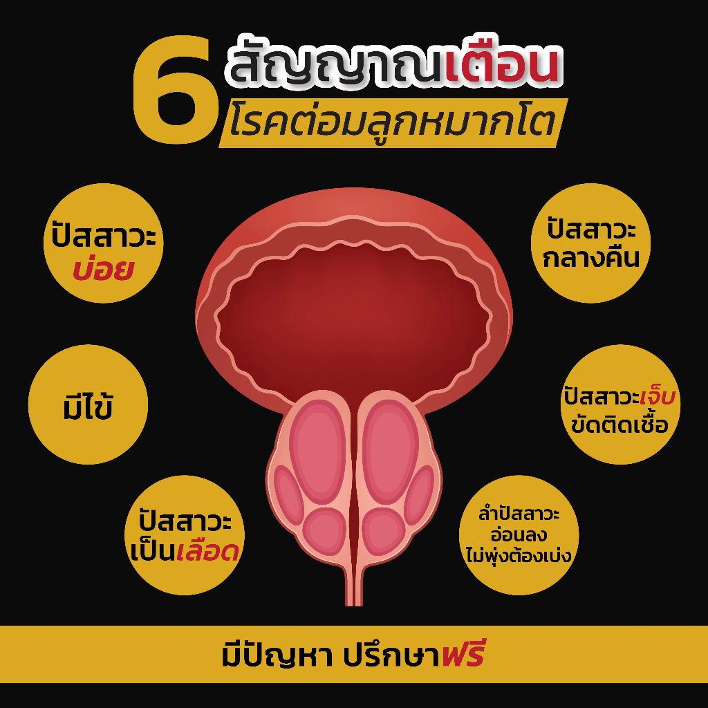 NEW Mplus ผลิตภัณฑ์เสริมอาหารท่านชาย จำนวน 6 กล่อง (120 capsules) (1กล่อง/20แคปซูล) ราคา ถูกที่สุด ดีลบีเคเค แกลเลอรีภาพที่ 3