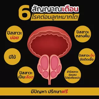 NEW Mplus ผลิตภัณฑ์เสริมอาหารท่านชาย จำนวน 6 กล่อง (120 capsules) (1กล่อง/20แคปซูล)