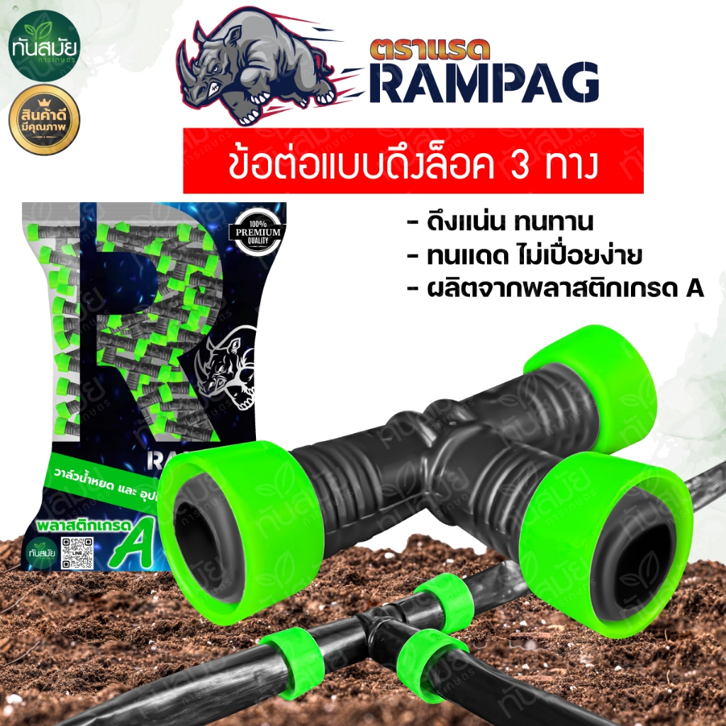 รูปภาพ 2