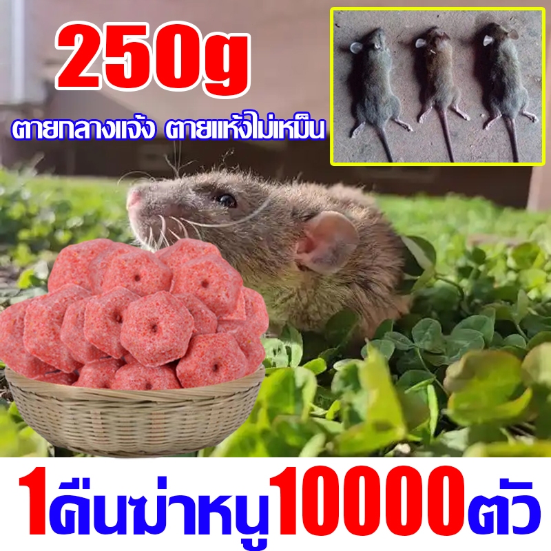 ยาเบื่อหนู เหยื่อกำจัดหนู หนูชอบมาก ตายแห้ง แบบ 70-80 เม็ด สะตอม ยาฆ่าหนู (ผสมธัญพืชที่หนูชอบอัดแน่นเต็มเม็ด)