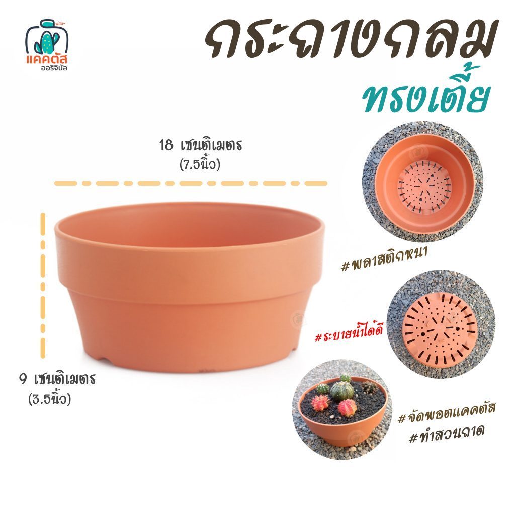กระถางทรงเตีย 7.5 นิ้่ว กลม(สีส้มอิฐ)  ปากกว้าง พลาสติก ทรงดินเผา จัดพอตแคคตัส จัดส่วนถาด เลี้ยงบอนไซ