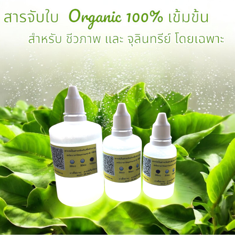 สารจับใบ Oganic เข้มข้น  สำหรับหัวเชื้อชีวภาพ จุลินทรีย์ ชีวภัณฑ์และ ปุ๋ยอินทรีย์น้ำ