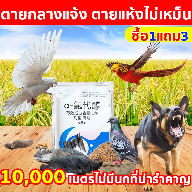 🐦10000เมตรไม่มีนก🐦เหยื่อกำจัดนก นำเข้าจากเยอรมัน ตายแห้งไม่เหม็น ยาเบื่อนก เหยื่อกำจัดนกพิราบ ยากำจัดนกพิราบ ไล่นก