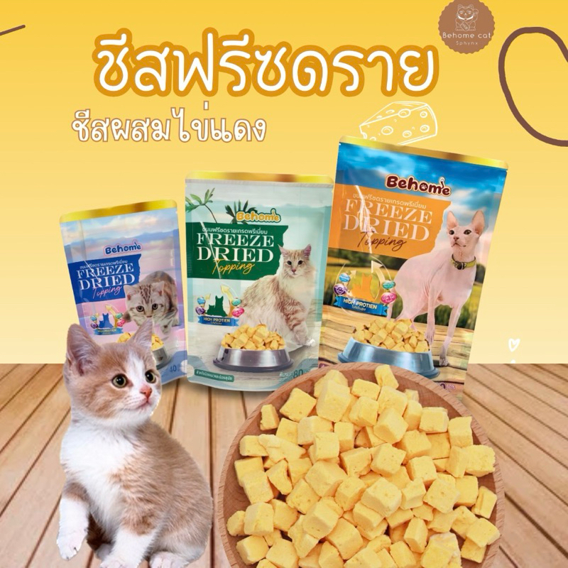 ชีสแมวฟรีซดราย ขนมฟรีซดราย ขนมสำหรับสัตว์เลี้ยง