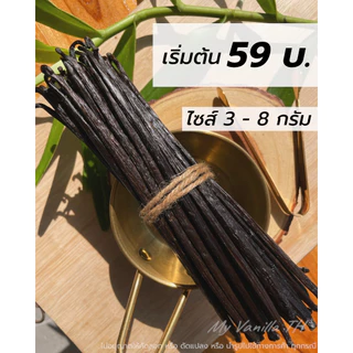 ฝักวานิลลาพันธุ์มาดากัสการ์ **เกรดA 18-22cm** 5กรัม+ (Vanilla bean) ฝักละ 95 บาท (ควรใช้ทันทีหลังได้รับ) My Vanilla TH