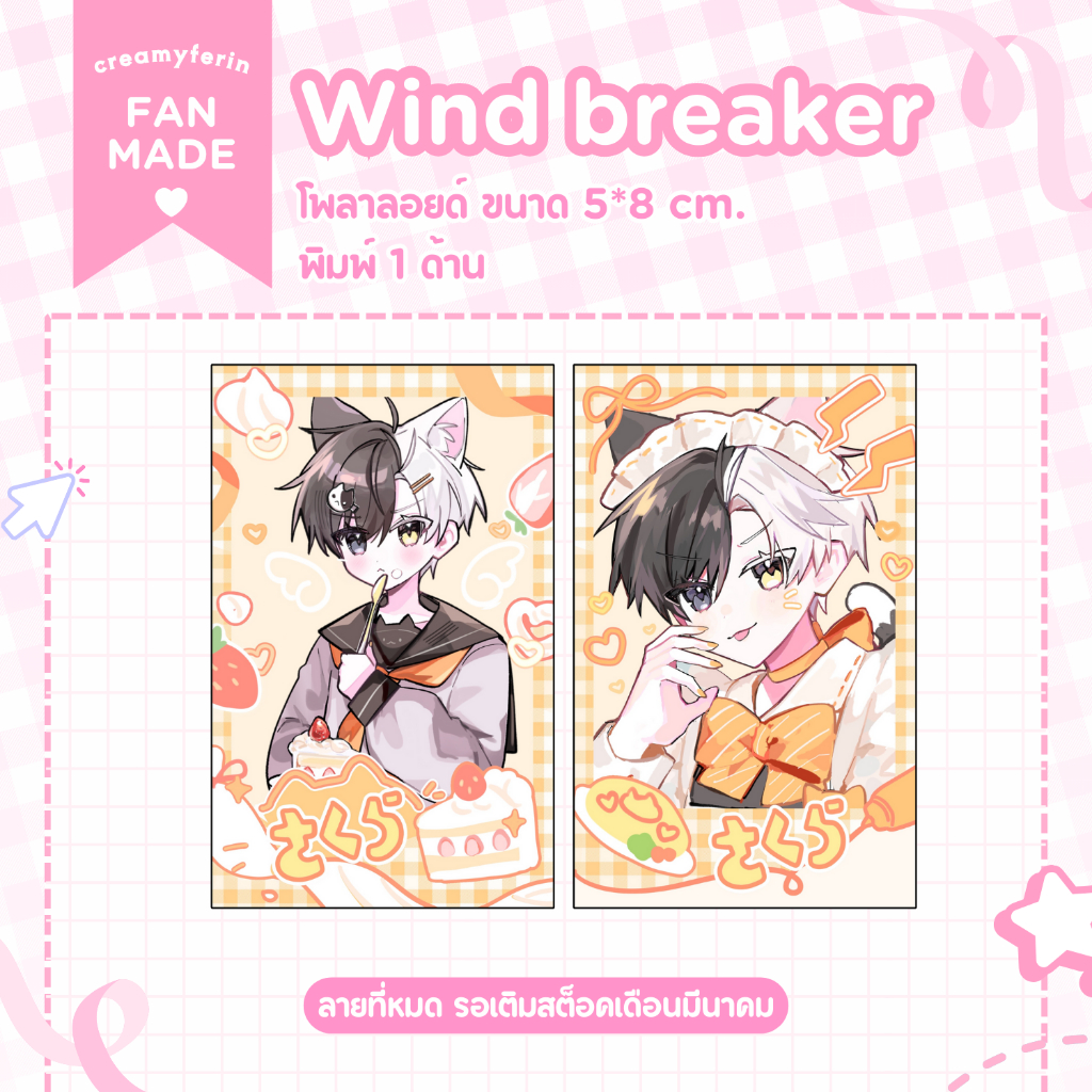 [พร้อมส่ง] โพลาลอยด์ Wind Breaker | Fanmade