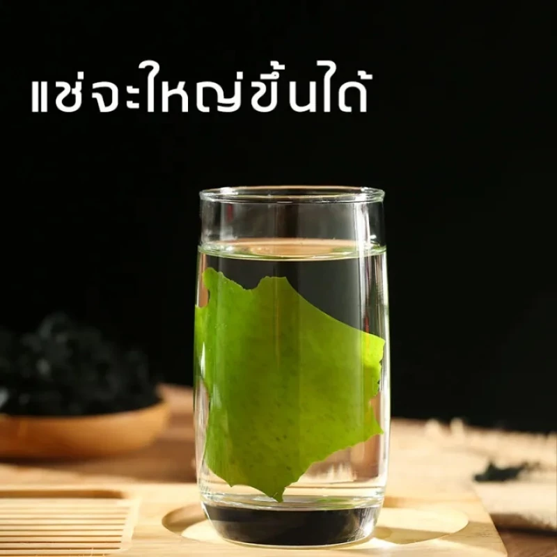 วากาเมะแห้ง Wakame thumbnail 7
