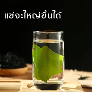 [คุณภาพสูง] วากาเมะแห้ง เกรด A+ วากาเมะแ ห้ง สามารถใช้สำหรับสลัดหรือซุป สาหร่ายเกาหลีอร่อยมาก wakame แห้ง