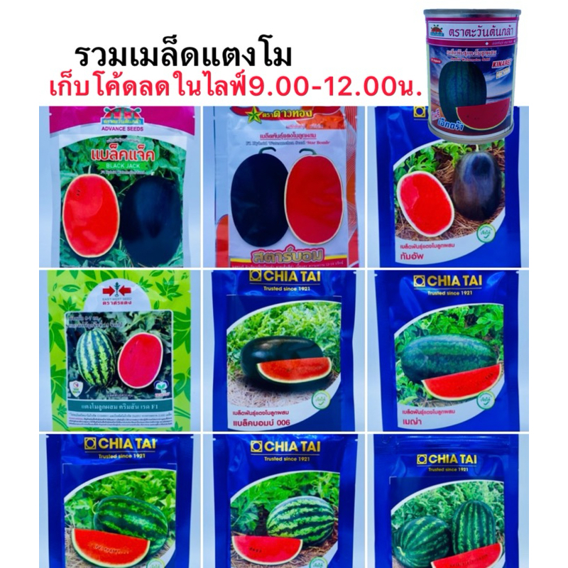 เมล็ดพันธุ์ แตงโม กินรีเอ็กซ์ตร้า สตาร์บอม แบล็คแจ็ค คริมสันเรด ซอนญ่าพลัส ซอนญ่าแมกซ์ ซอนญ่าโปร75 เมญ่า ทัมอัพ แบล็คบอม
