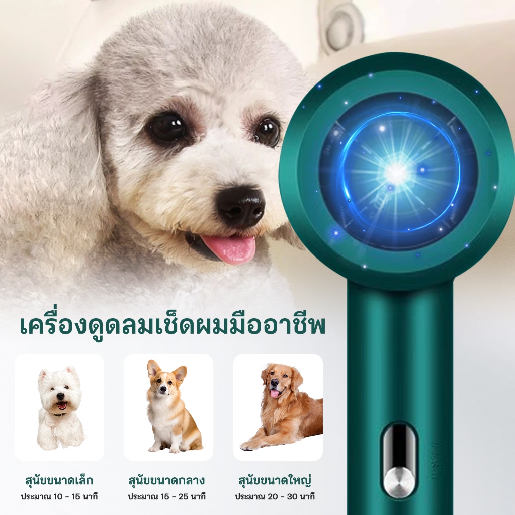 เครื่องเป่าผมสัตว์เลี้ยง, เครื่องเป่าผมรุ่นใหม่, เครื่องเป่าผมแมว, เครื่องลบไอออนเชิงลบปริมาณอากาศสูง - รูปที่ 3