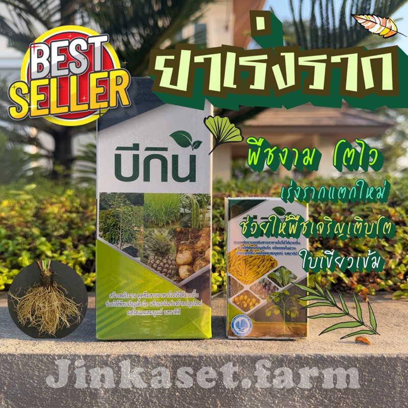 บีกิน ยาเร่งรากแตกใหม่ สูตรเข้มข้น เร่งราก เพิ่มราก