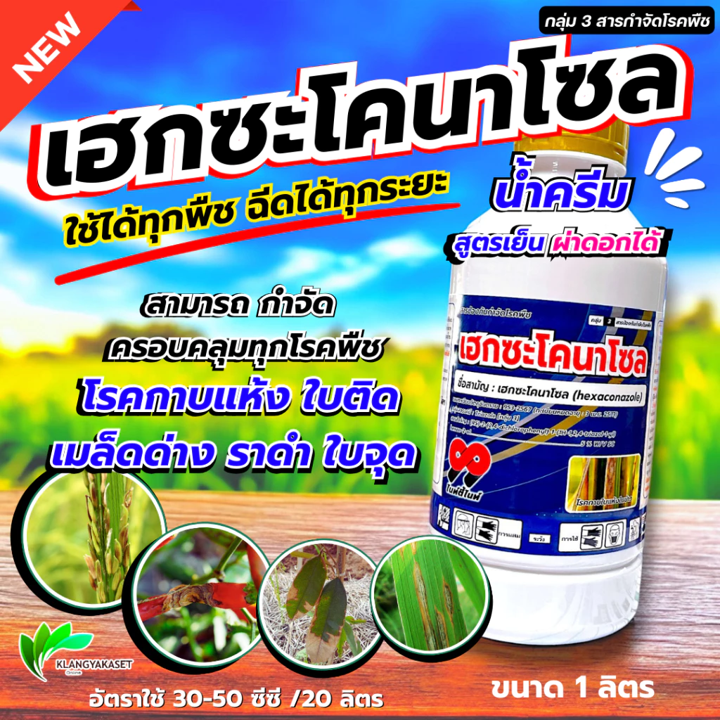 เฮกซะโคนาโซล 99 ขนาด 1 ลิตร เฮกแตร์ แบ็ทเทอร์ มาร์ติน 💥 เฮกซะโคนาโซล โรคใบไหม้ โรคกาบใบแห้ง โรคเมล็ดด่าง