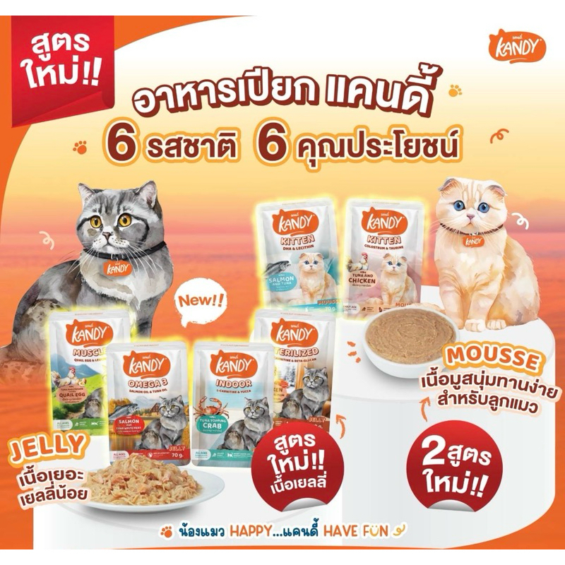 (12 ซอง) Kandy อาหารเปียกแมว สำหรับลูกแมว และแมวโต ตั้งแต่ 2 เดือนขึ้นไป ไม่ใส่เกลือ ขนาด 70 กรัม Ka