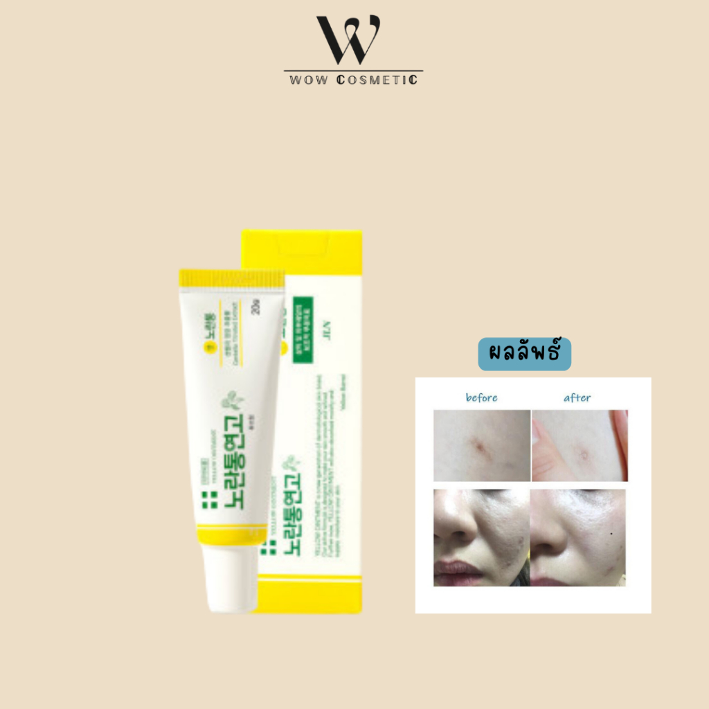 ครีมสีเหลืองเกาหลี YELLOW OINTMENT Centella Titrated Extract 20g 1หลอด