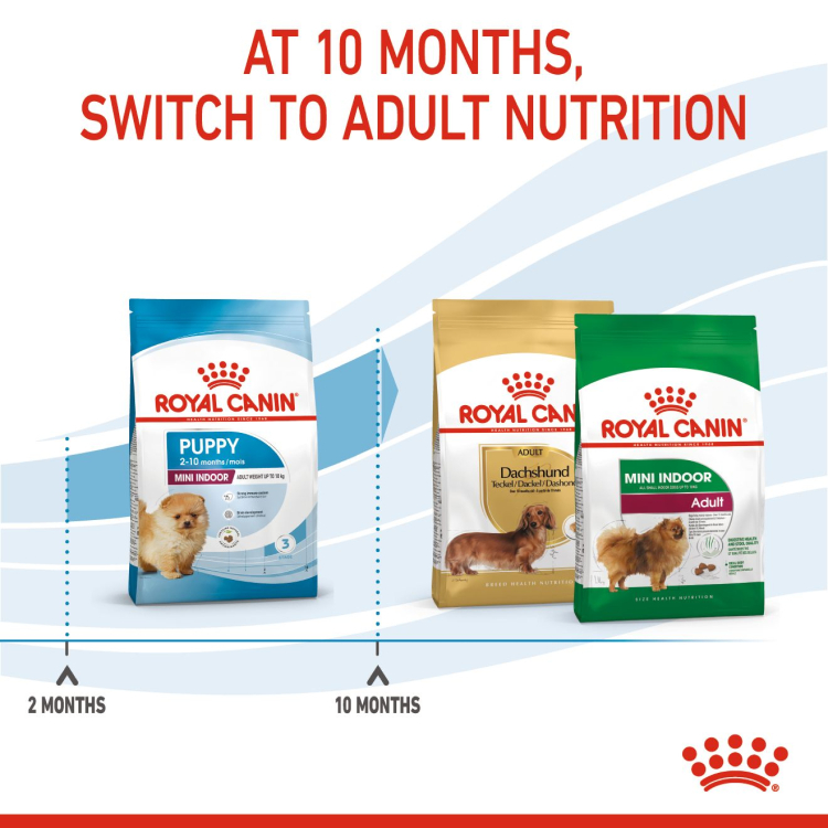 Royal Canin Mini Indoor Puppy รอยัลคานิน อาหารสุนัข ลูกสุนัข พันธุ์เล็ก เลี้ยงในบ้าน บำรุงขน ขับถ่ายดี 3 kg - รูปที่ 6
