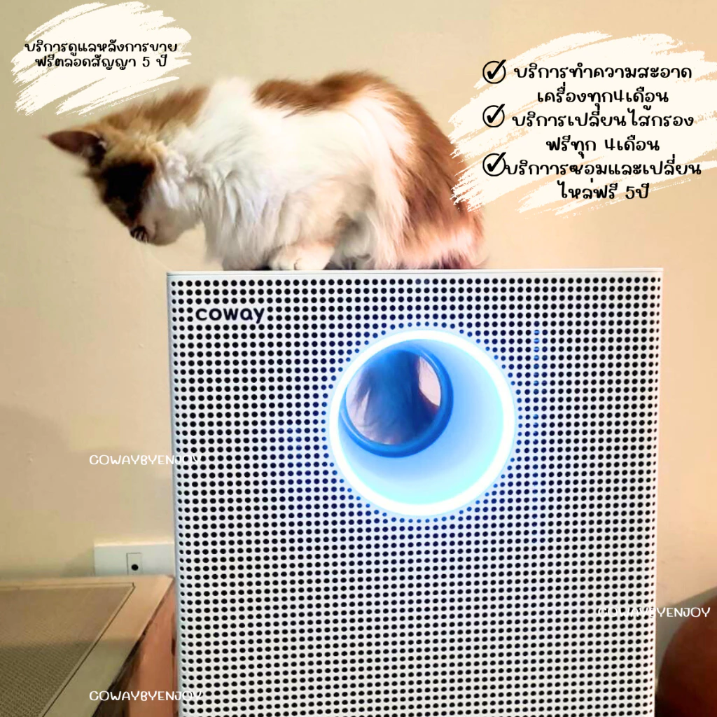 เครื่องฟอกอากาศ Coway รุ่น Storm II thumbnail 6