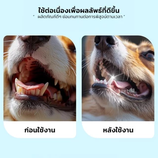 KUMOO PET ถุงสวมนิ้วแปรงฟันสัตว์เลี้ยง ช่วยลดกลิ่นปาก ลมหายใจหอมสดชื่น