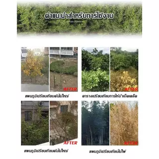 【ซื้อ 3 แถม 1】รากเน่ารากไม่ขึ้นอีก ยาฆ่าไม้ไผ่ สารกำจัดกอไผ่ ผงกำจัดกอไผ่ เฮกซาซิโนน 5% 500g บอกลาการตัดต้นไม้ด้วยตนเอง