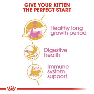 [กระสอบ] Royal Canin Maine Coon Kitten รอยัลคานิน อาหารลูกแมว พันธุ์ เมนคูน ลูกแมว อายุ 4-15 เดือน 10 kg