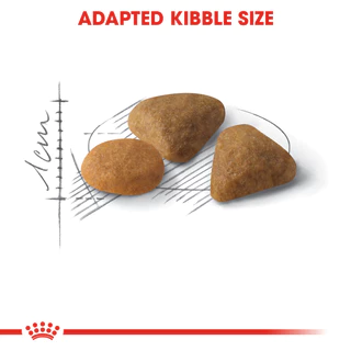 Royal Canin Savour Exigent รอยัลคานิน แมวโต กินยาก รูปแบบ อาหารเม็ด หลากหลาย ขนาด 2 kg
