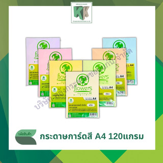 กระดาษการ์ดสี กระดาษสี A4 100แผ่น หนา 120แกรม ปกสี ปกรายงาน สีพาสเทล การ์ดอวยพร นามบัตร | คลังกระดาษ