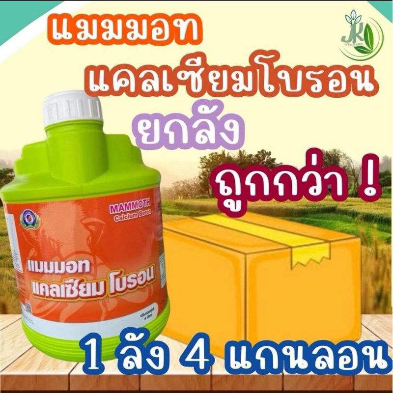 แมมมอทแคลเซียมโบรอน 4 ลิตร (ยกลัง 4แกลลอน) เทพวัฒนา ตราปลาคู่ ช่วยลดการหลุดร่วงของดอกและผล ขั้วเหนียว ช่วยผสมเกสร