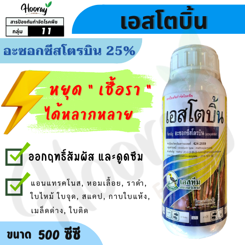 เอสโตบิ้น 500 cc. ( อะซอกซีสโตรบิน ) แอนแทรคโนส หอมเลื้อย ใบไหม้ ใบจุด กาบใบแห้ง สแคป ใบติด ราดำ