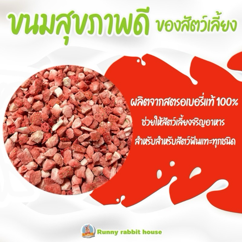 สตรอเบอร์รี่หั่นเต๋าอบแห้ง ขนมเสริมวิตามินสำหรับสัตว์เลี้ยงฟันแทะทุกชนิด