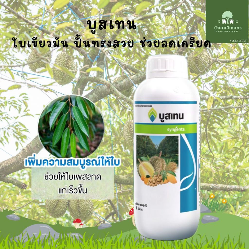บูสเทน ขนาด 1ลิตร ช่วยบำรุงต้น บำรุงใบ ให้ใบแก่เร็ว ต้นแข็งแรง ฉีดได้ทั้งทุเรียน สับปะรด พืชสวนอื่นๆ ราคา ถูกที่สุด ดีลบีเคเค