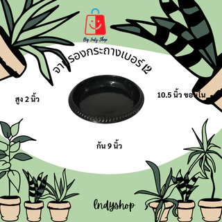 จานรองกระถางต้นไม้ จานรองพลาสติก ถาดใส่ภาชนะ ดีไซน์เก๋ ดูมีระดับ ดำเงา ไม่หมองให้เคืองสายตา มีหลายขนาดให้เลือก [ สีดำ ]