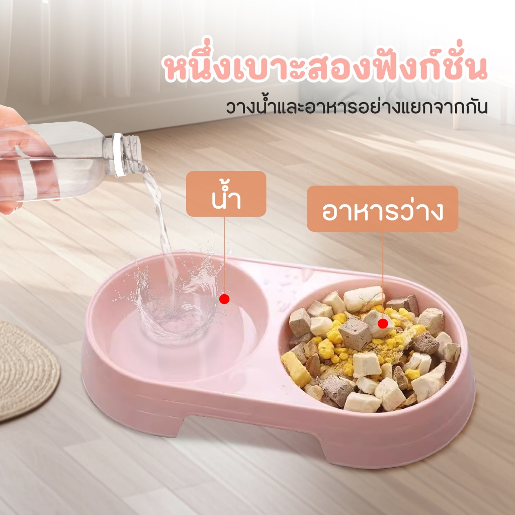 รูปภาพ 5