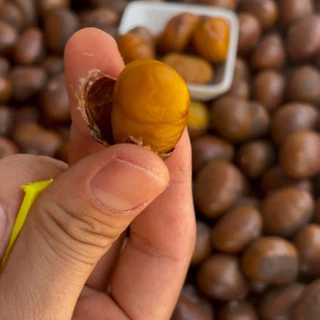 เกาลัดญี่ปุ่นคั่วสด 🌰ใหม่ทุกวันคุ้มสุด❗️คัดเกรดAไม่ปนปากแตก (900g) หวานมัน,ไม่ต้ม,ไม่ใส่น้ำมัน,ล้างสะอาด💧พร้อมทาน