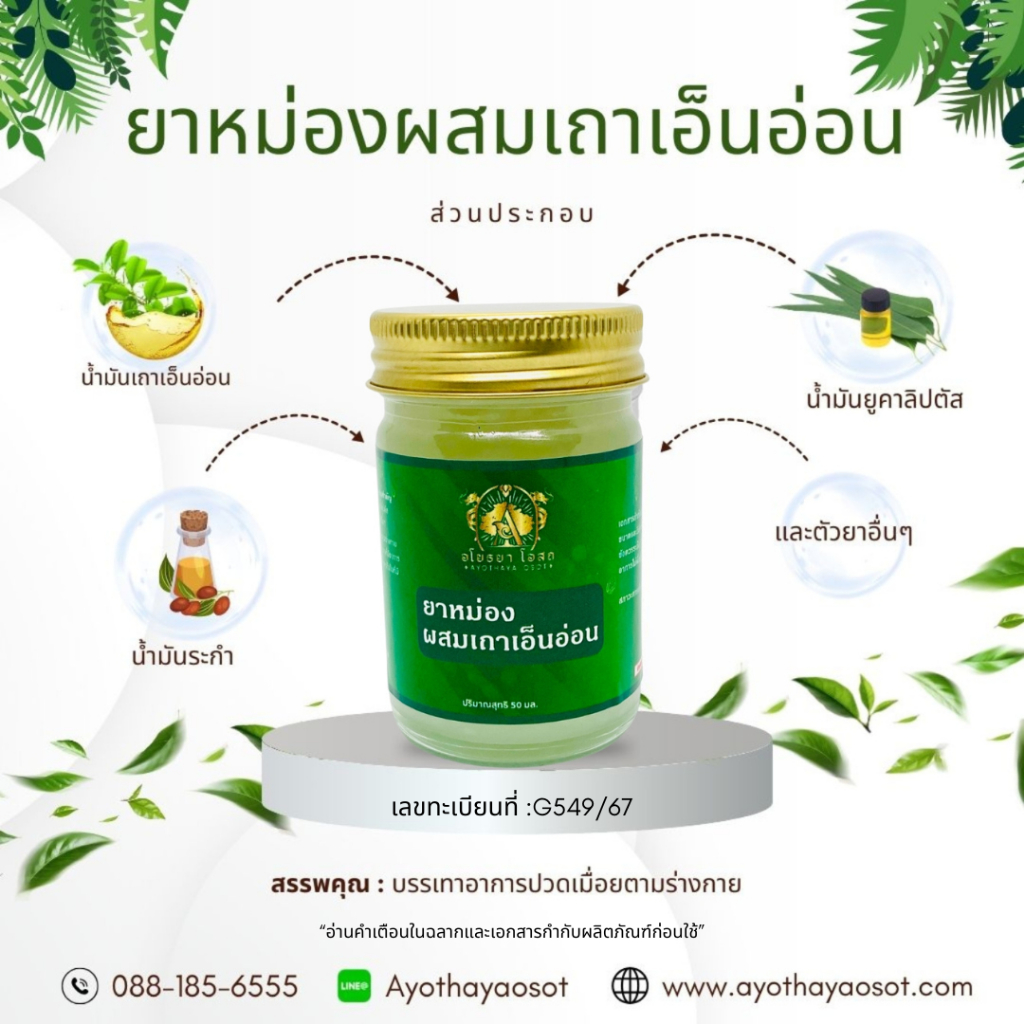ยาหม่องผสมเถาเอ็นอ่อน  อโยธยา โอสถ บรรเทาปวดเมื่อย