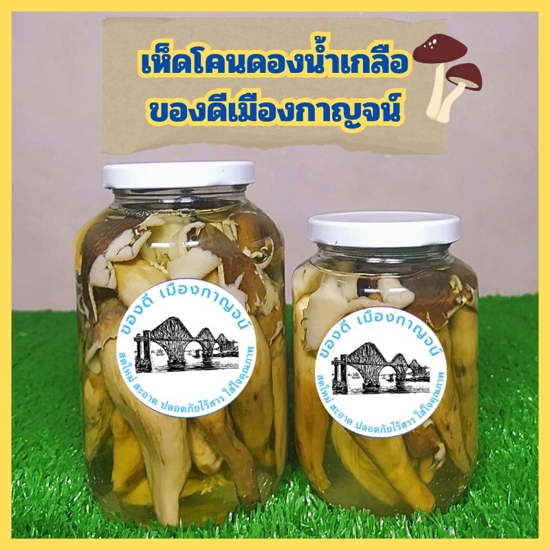 เห็ดโคน เห็ดโคนป่าดองน้ำเกลือของแท้จากเมืองกาญจน์ น้ำหนักรวม650กรัม