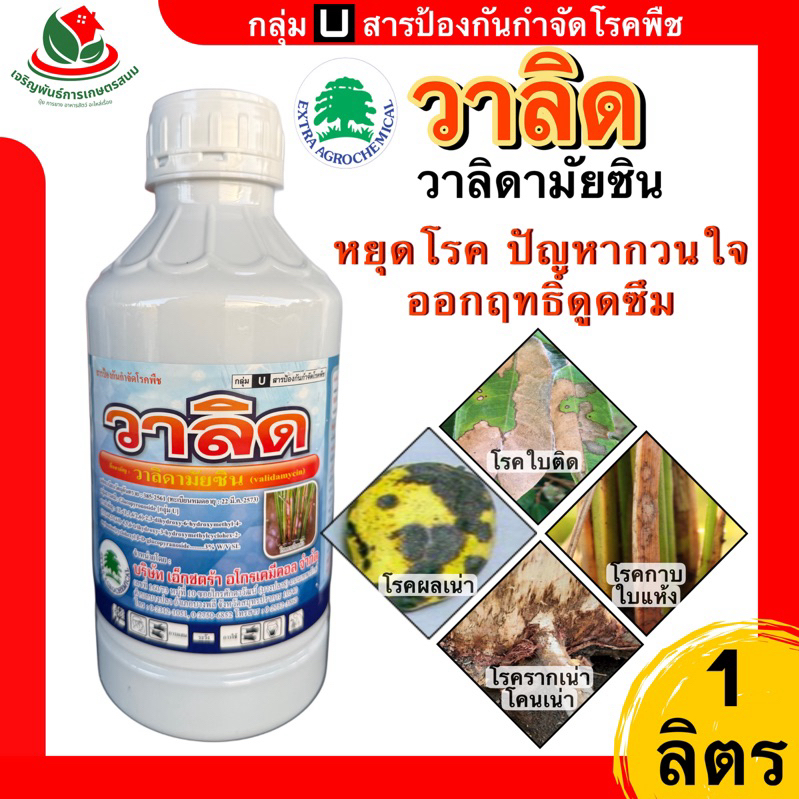 วาลิด 3% ขนาด 1 ลิตร วาลิดามัยซิน สารป้องกันกำจัดโรคพืช ใบติด ใบแห้ง