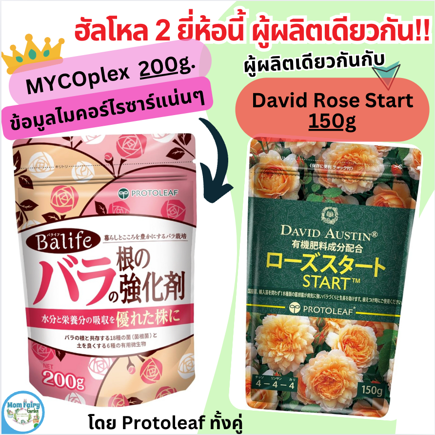 ปุ๋ยไมคอร์ไรซา Protoleaf Mycorrhiza 200g เชื้อรา 18 ชนิด บำรุงราก ดูดซึมดี สำหรับกุหลาบและไม้ดอก