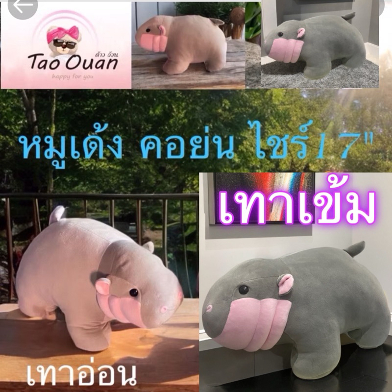 หมูเด้งฮิปโปน้องคอย่น ไชร์17 นิ้ว43 cmน้องมี2สีเทาอ่อนและเทาเข้มอ้วนน่ากอดมากกก