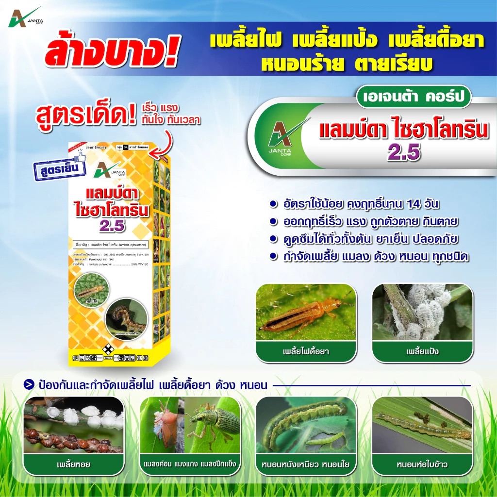 แลมป์ดา ไซฮาโลทริน สูตรเย็น ออกฤทธิ์เร็ว กำจัดหนอน หนอนเจาะต้น แมลงหวี่ขาว เพลี้ย เอเจนต้า คอร์ป ขนาด 1 ลิตร