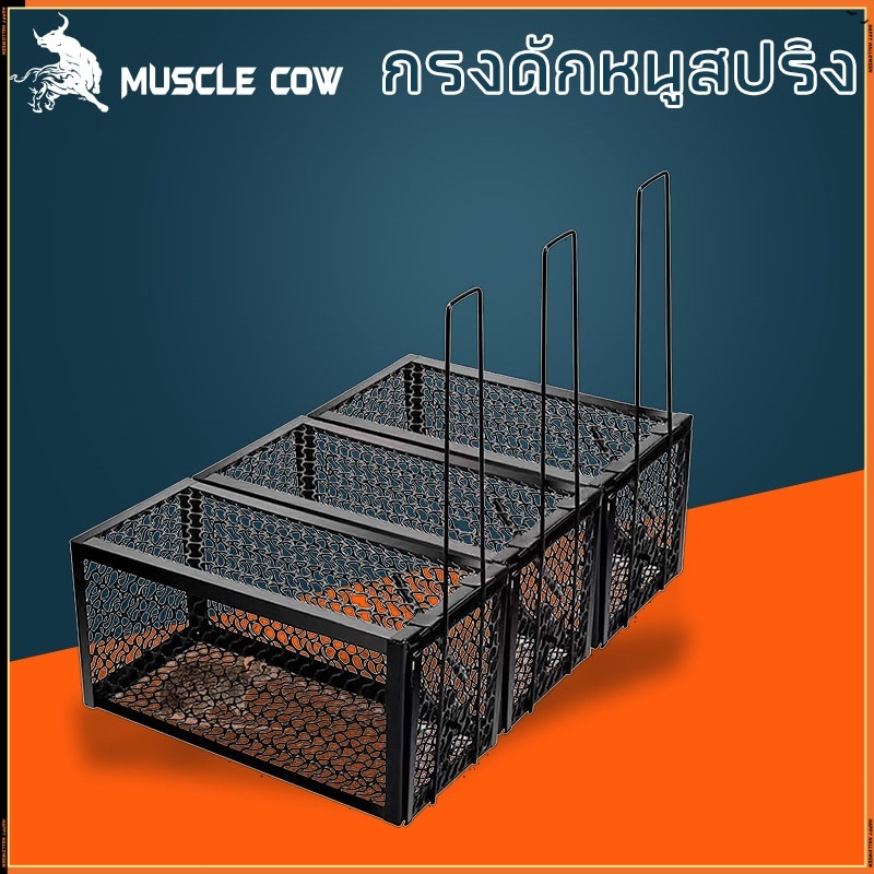 MUSCLE COW ขายร้อนใหม่ กรงดักหนูสปริงคุณภาพสูง กรอบหนา กรงดักหนูพร้อมกรอบ กรงดักหนูสปริงคู่ กรงดักหนูฟาร์ม
