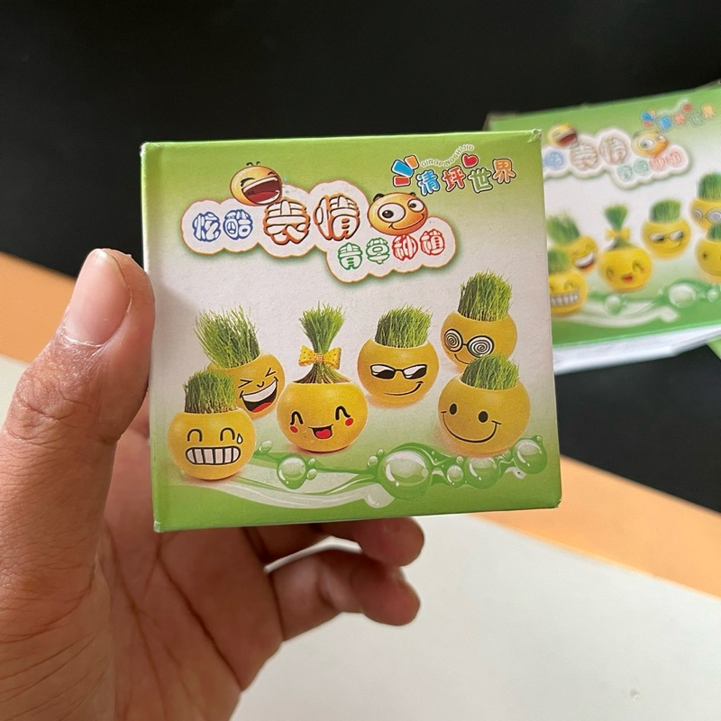 (12 ชิ้น) No.151  ชุดปลูกผัก ชุดทดลองปลูกผัก ฝึกทักษะให้เด็กเล็กมีความอดทน คละชนิด สุ่มแบบกล่องA - รูปที่ 3