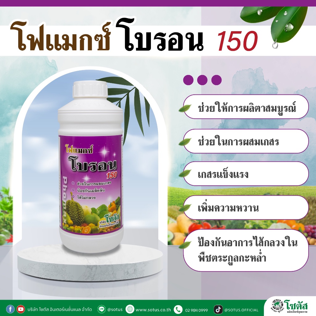 โฟแมกซ์ โบรอน 150 1ลิตร (Phomax B 150) บำรุงดอก ผสมเกสร บำรุงผล กันลูกแตก ช่วยเคลื่อนย้ายอาหาร
