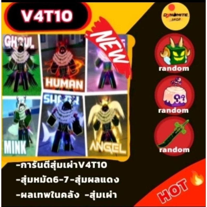 ไก่ตัน V4เทียร์10 การันตีสุ่มทุกเผ่า ผลเทพ การ์ดเกมBloxfruit