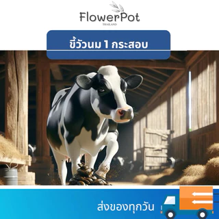 ขี้วัวนม มูลวัว 100% แบบแห้ง บรรจุ 7-10 กิโลกรัม ปุ๋ยคอก ขี้วัวแห้ง